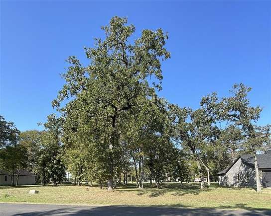 0.266 Acres of Residential Land for Sale in Mabank, Texas