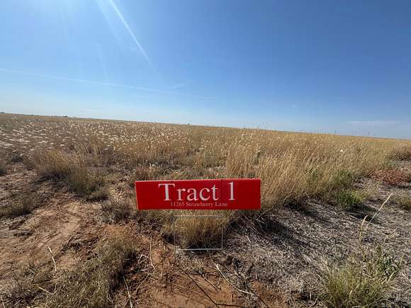 16.65 Acres of Land for Sale in Hartley, Texas