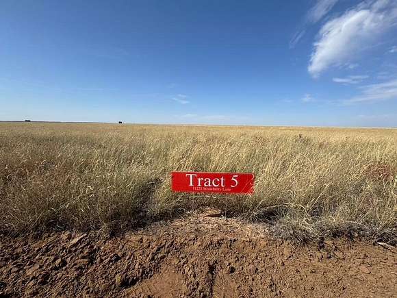 10.95 Acres of Land for Sale in Hartley, Texas