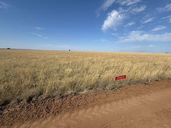 11 Acres of Land for Sale in Hartley, Texas