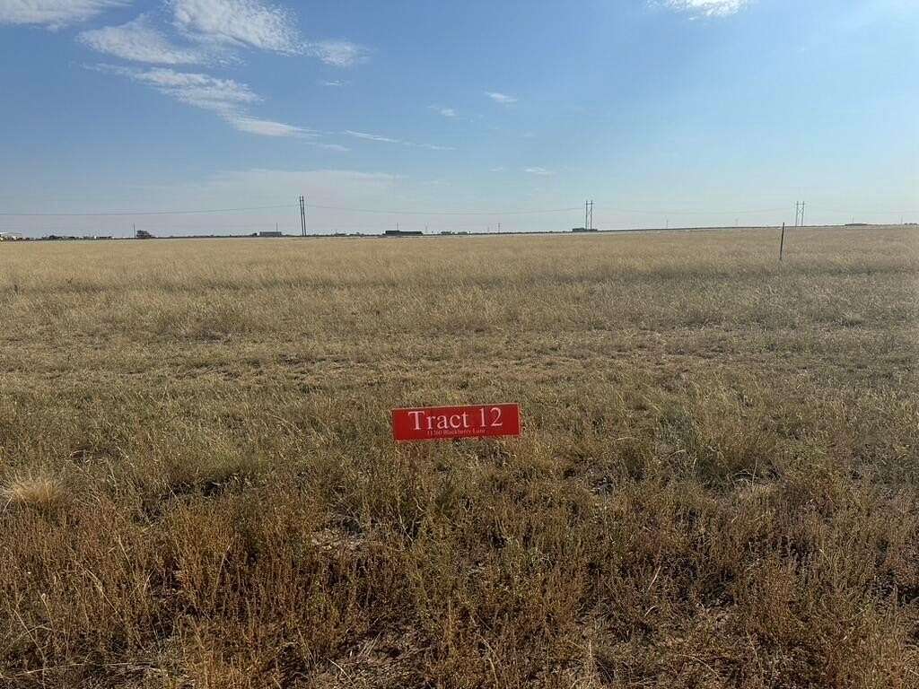 10.12 Acres of Land for Sale in Hartley, Texas