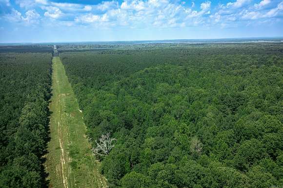 65 Acres of Recreational Land for Sale in Arkadelphia, Arkansas