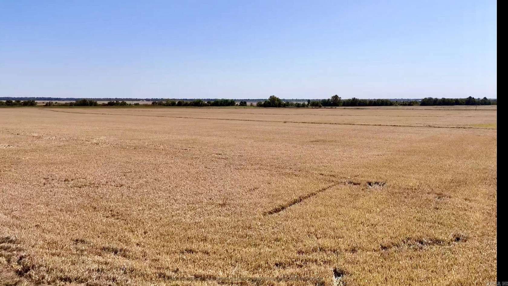 154.61 Acres of Agricultural Land for Sale in Rector, Arkansas