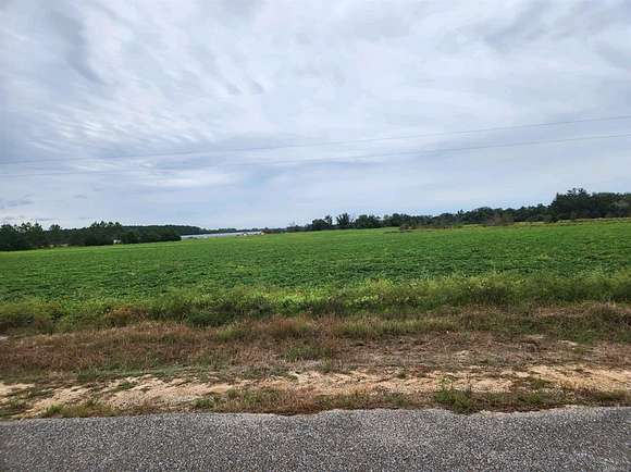 92.328 Acres of Land for Sale in Gordon, Alabama