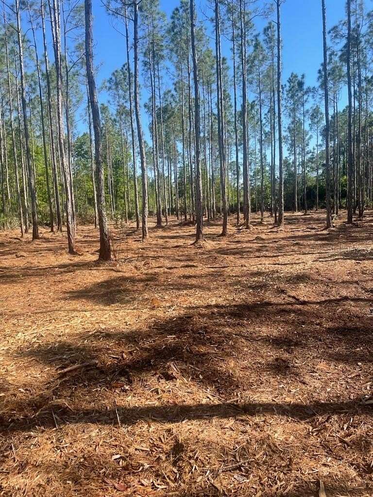 1.17 Acres of Residential Land for Sale in Palatka, Florida