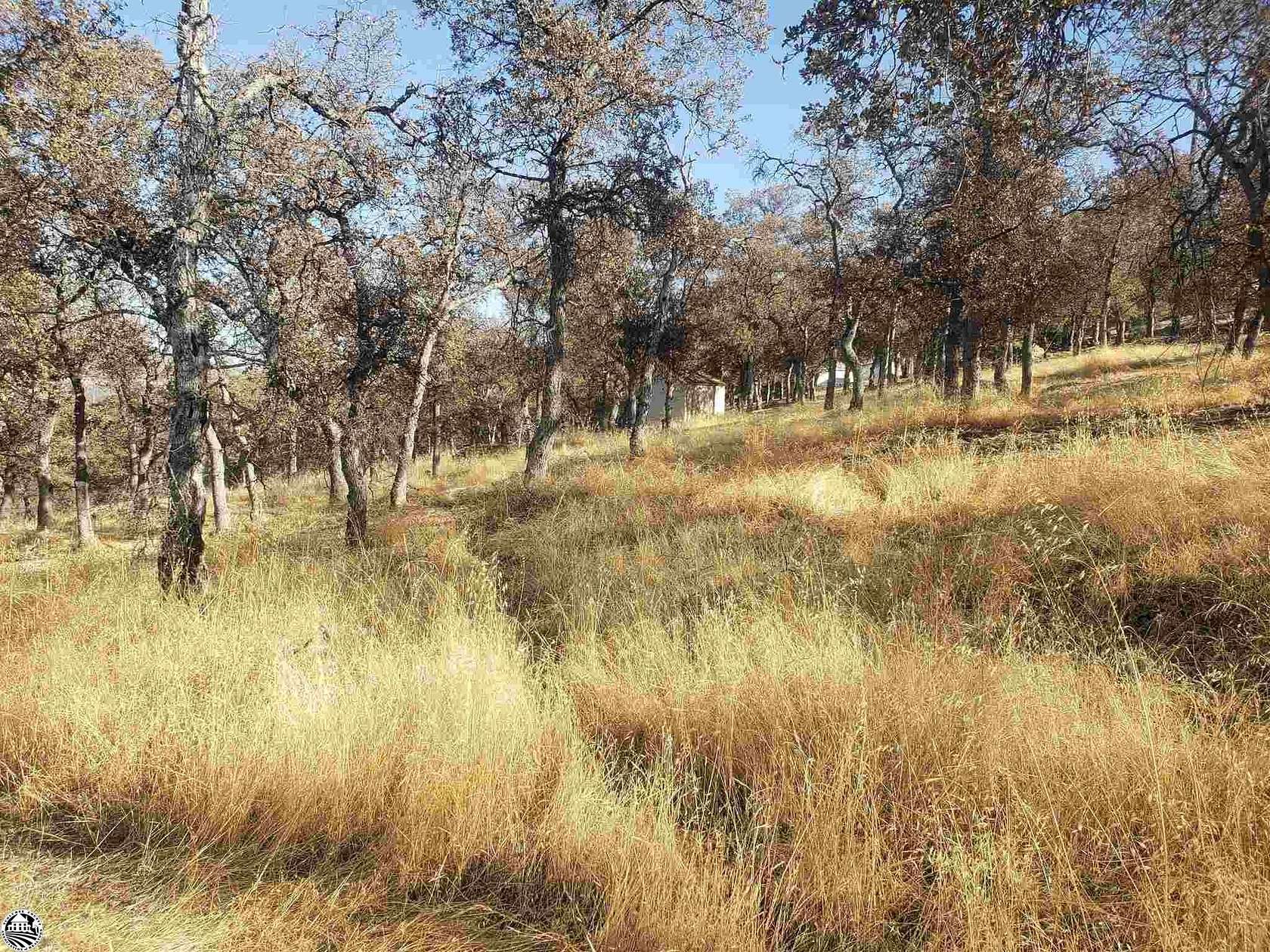 4 Acres of Residential Land for Sale in La Grange, California