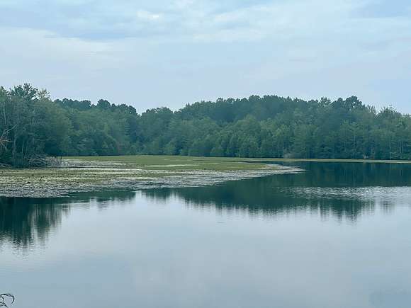 204.91 Acres of Recreational Land & Farm for Sale in Rebecca, Georgia