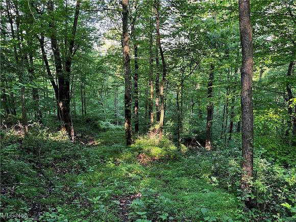 24.76 Acres of Recreational Land for Auction in Killbuck, Ohio