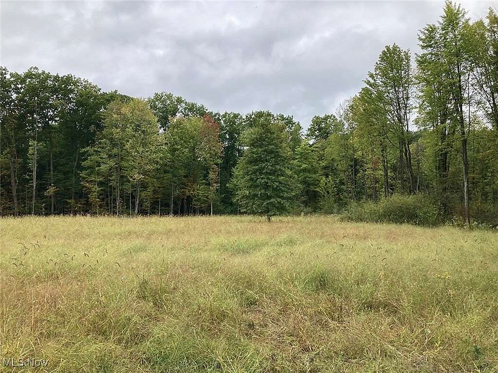 48.3 Acres of Recreational Land for Auction in Lowellville, Ohio