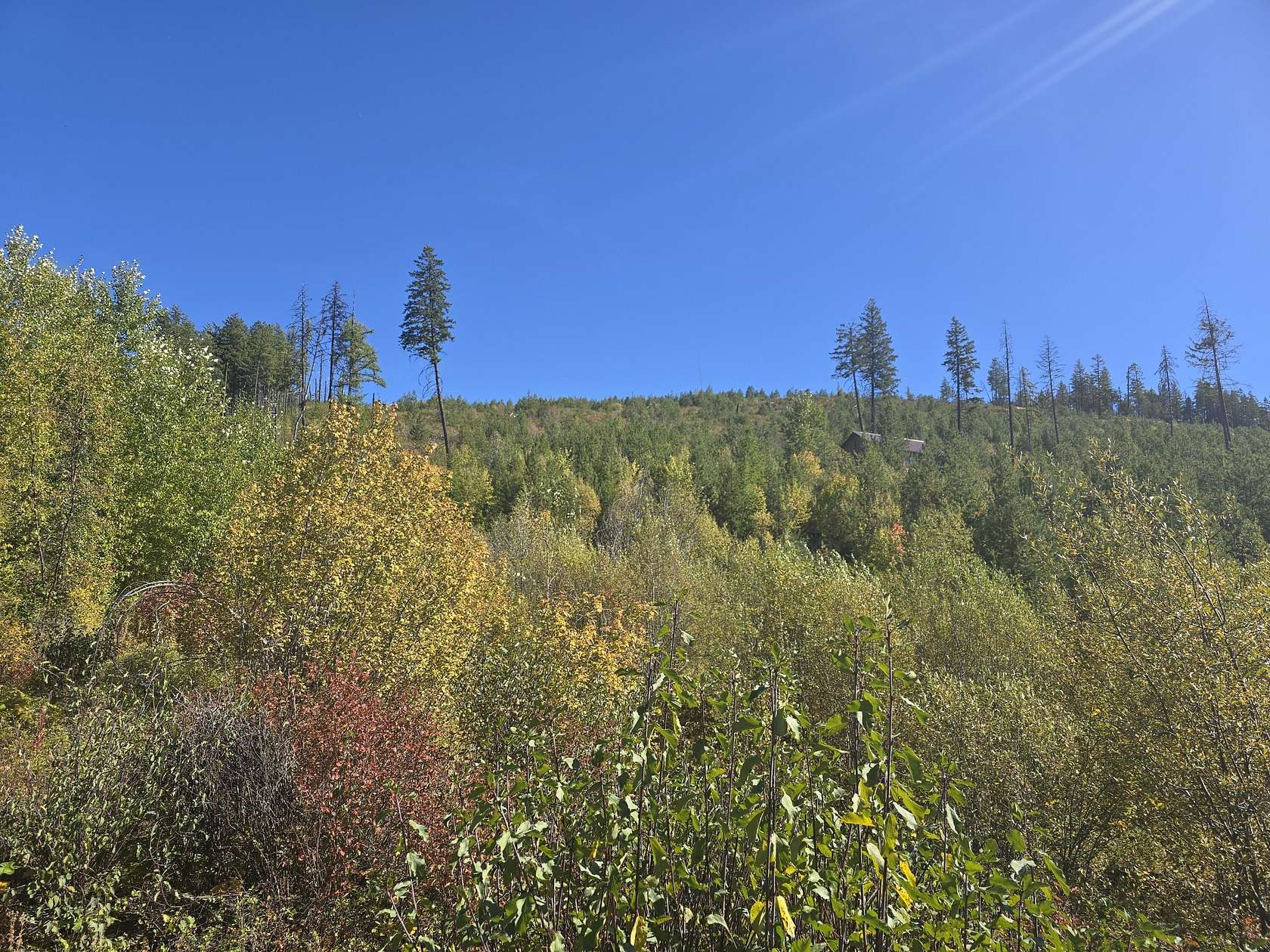 20 Acres of Land for Sale in Colville, Washington