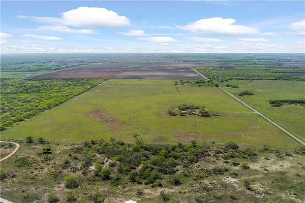 75 Acres of Recreational Land & Farm for Sale in Kingsville, Texas
