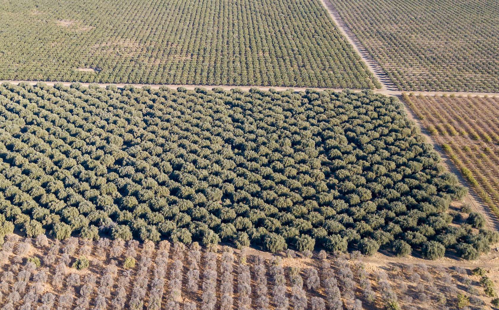 10.3 Acres of Land for Sale in Terra Bella, California