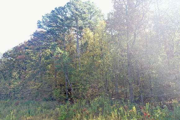 4.73 Acres of Land for Sale in Danville, Arkansas