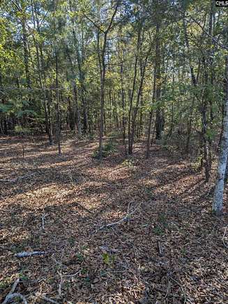 7.71 Acres of Residential Land for Sale in Kershaw, South Carolina