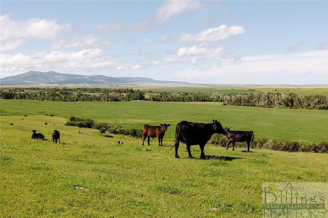 669 Acres of Agricultural Land with Home for Sale in Lewistown, Montana