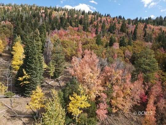 0.62 Acres of Residential Land for Sale in Kanab, Utah