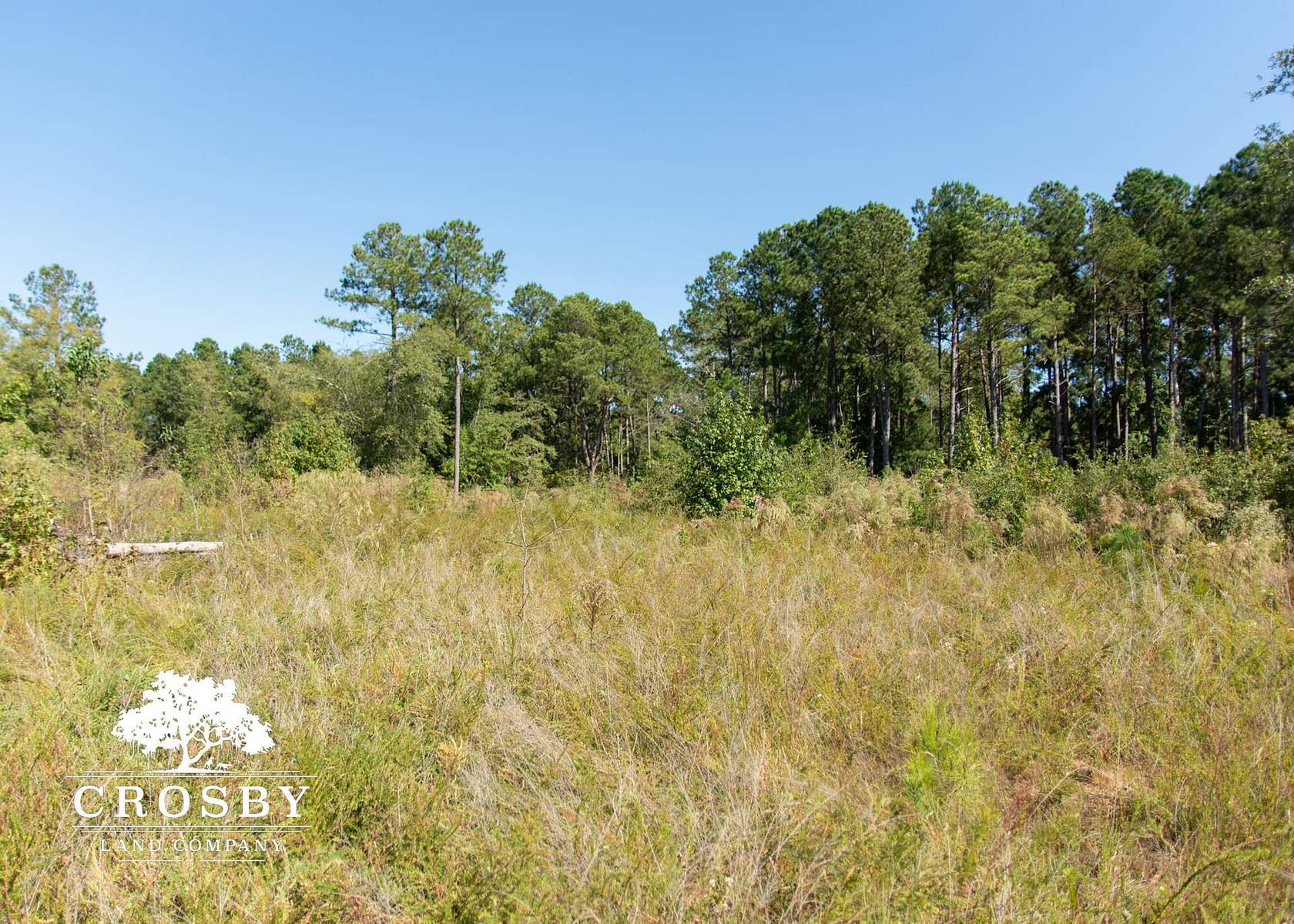 27.4 Acres of Recreational Land for Sale in Ridgeway, South Carolina