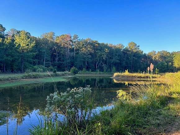 100 Acres of Land for Sale in Smithdale, Mississippi