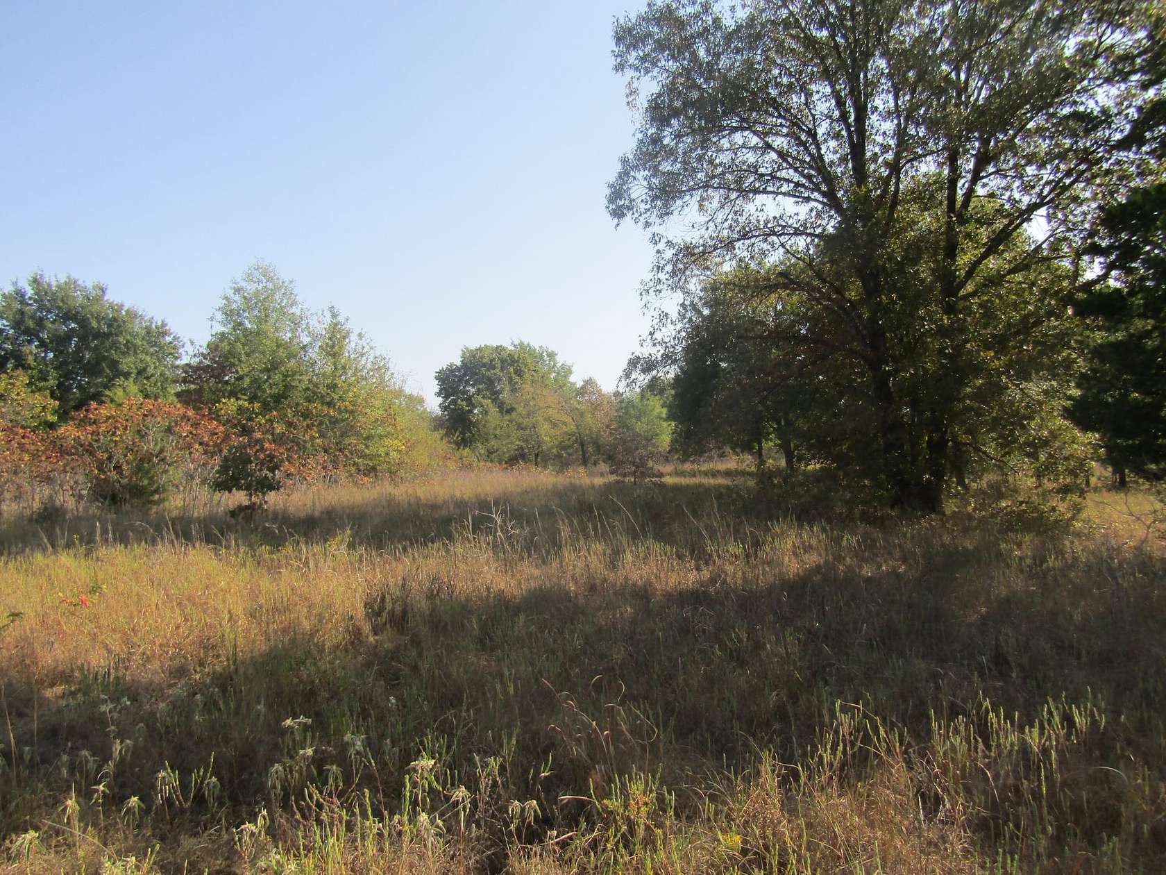 120 Acres of Recreational Land for Sale in Boswell, Oklahoma