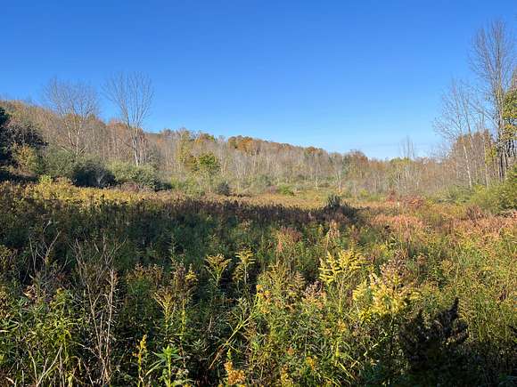 44.55 Acres of Recreational Land for Sale in Wellsboro, Pennsylvania