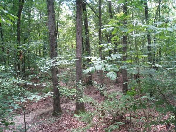 2.14 Acres of Residential Land for Sale in Texarkana, Arkansas
