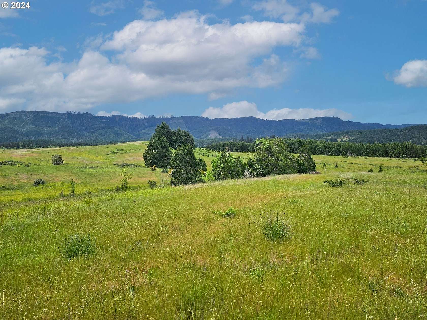 100 Acres of Land for Sale in Camas Valley, Oregon