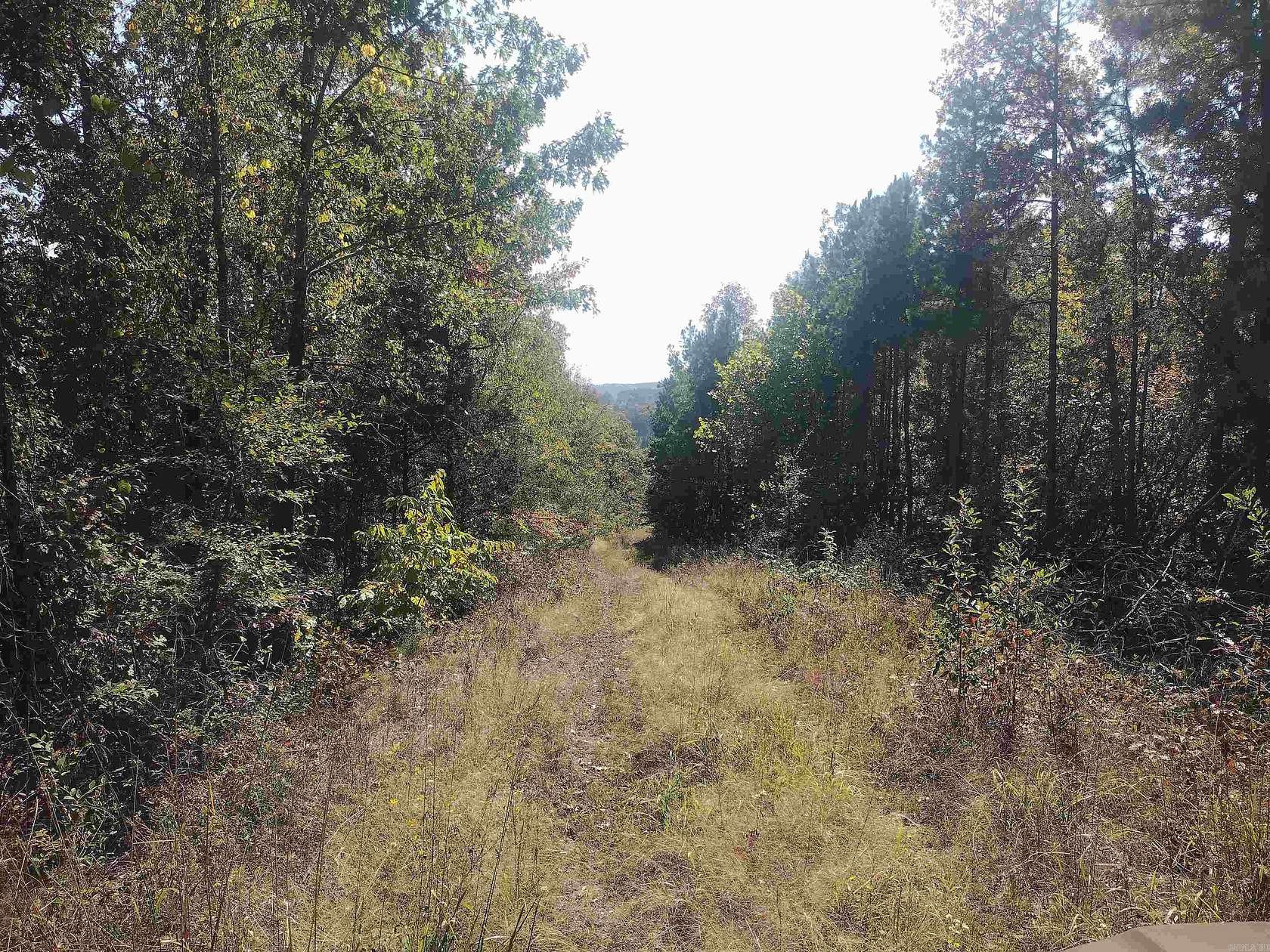 75 Acres of Recreational Land for Sale in Clinton, Arkansas