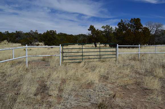 48 Acres of Land for Sale in Pie Town, New Mexico