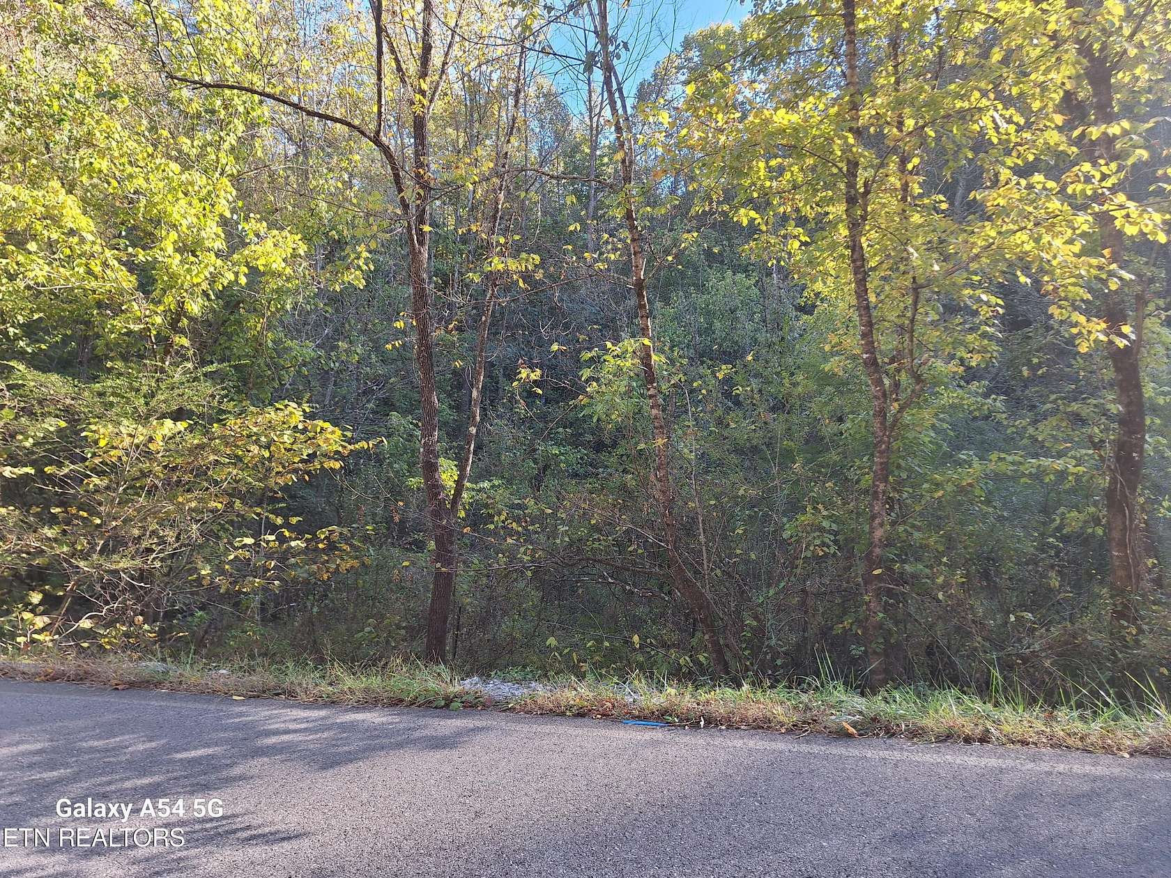 12.3 Acres of Land for Sale in Maryville, Tennessee