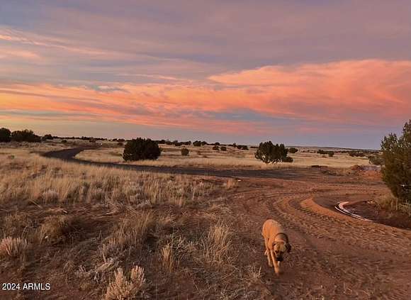 30.45 Acres of Recreational Land for Sale in Heber, Arizona