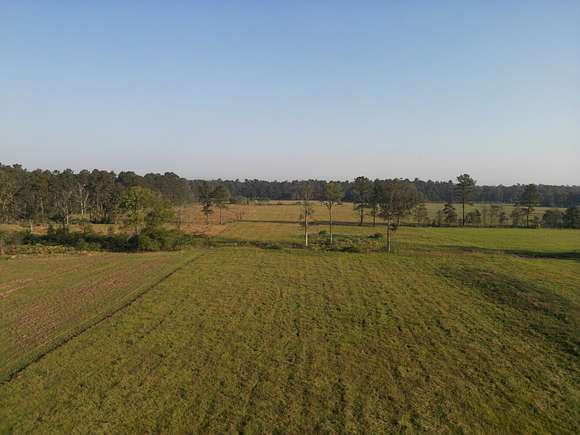 8.6 Acres of Residential Land for Sale in Livingston, Louisiana