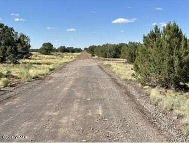 20.13 Acres of Recreational Land for Sale in Show Low, Arizona