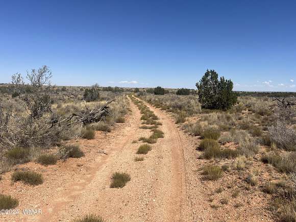 38.96 Acres of Land for Sale in Snowflake, Arizona