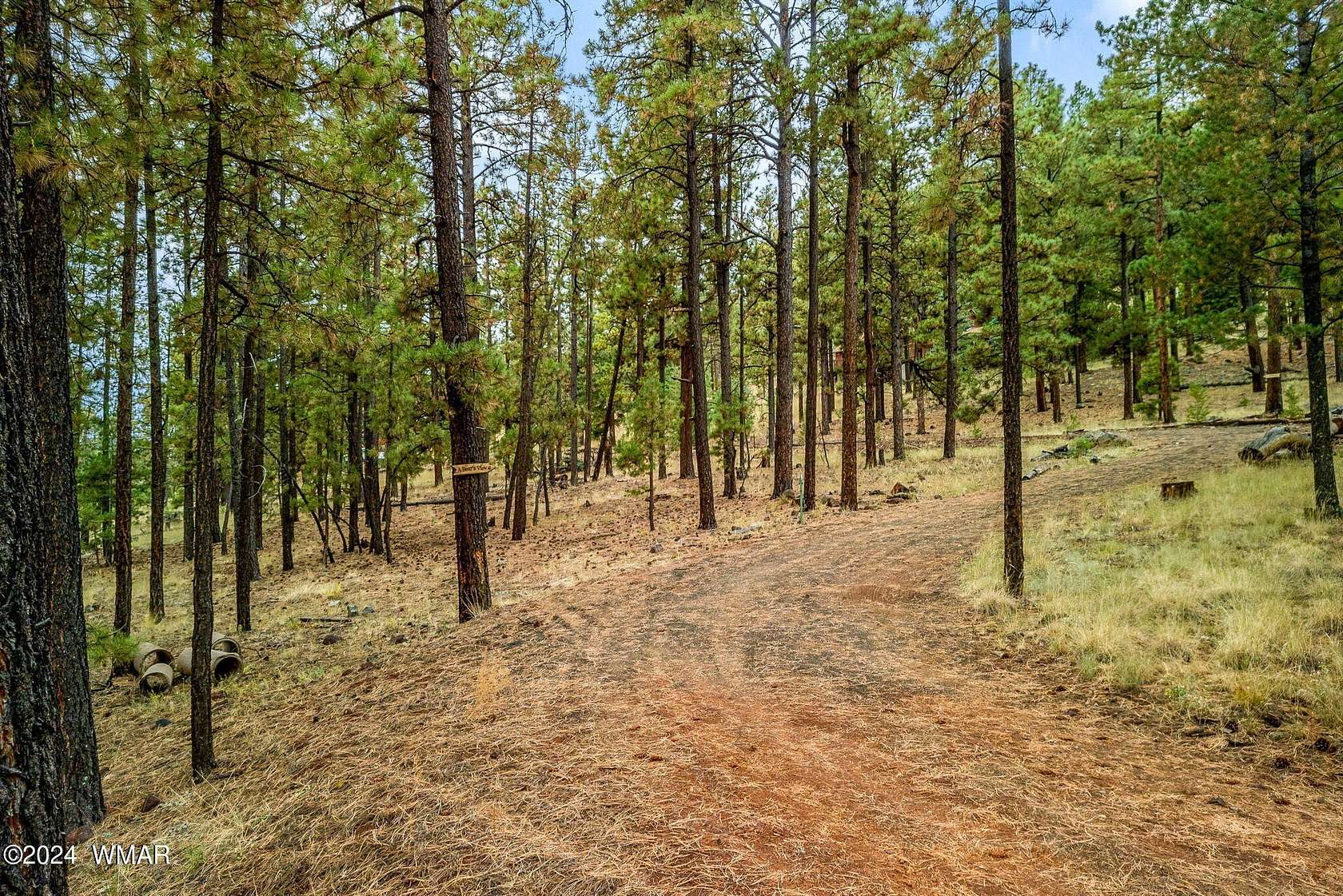 0.5 Acres of Residential Land for Sale in Greer, Arizona