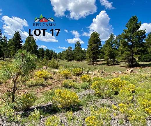 9.98 Acres of Residential Land for Sale in Vernon, Arizona