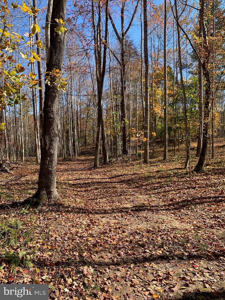 26 Acres of Recreational Land for Sale in Castleton, Virginia