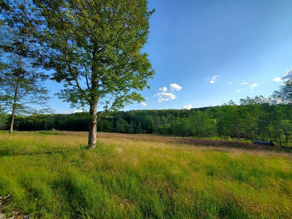 19.89 Acres of Recreational Land for Sale in Campbell, New York