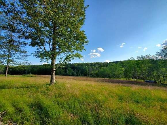 19.89 Acres of Recreational Land for Sale in Campbell, New York