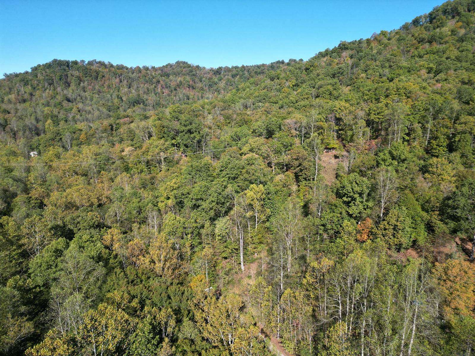 97.74 Acres of Recreational Land for Auction in Nellis, West Virginia