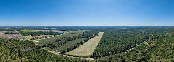 275 Acres of Recreational Land & Farm for Auction in Pineview, Georgia