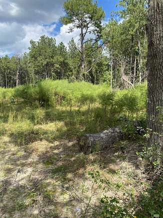 4.9 Acres of Land for Sale in Fred, Texas