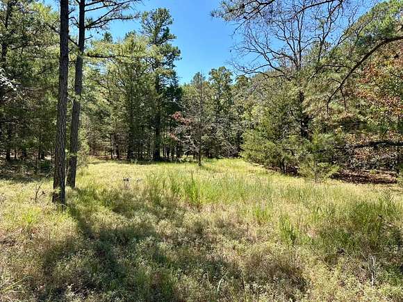 10 Acres of Recreational Land for Sale in Moyers, Oklahoma