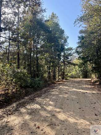 108 Acres of Recreational Land for Sale in Doddridge, Arkansas