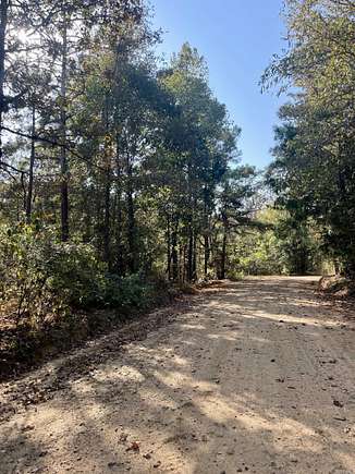 108 Acres of Recreational Land for Sale in Doddridge, Arkansas