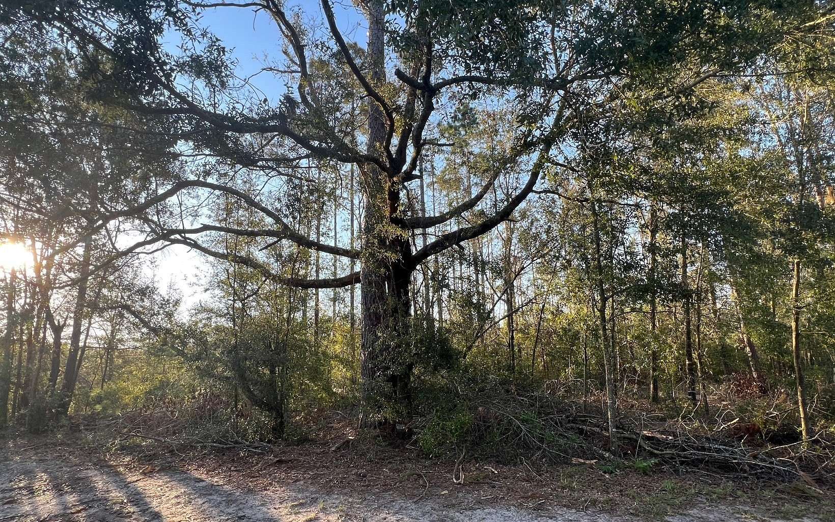 1 Acre of Residential Land for Sale in Live Oak, Florida