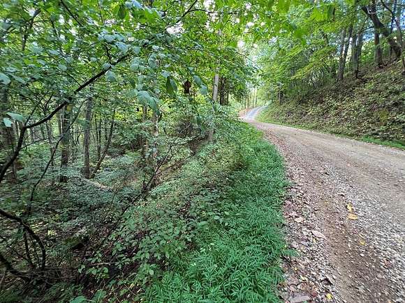 Residential Land for Sale in Hayesville, North Carolina