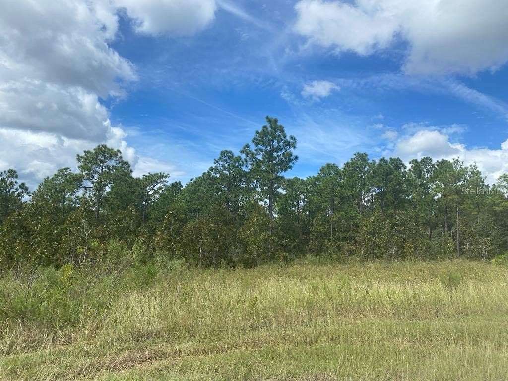 0.46 Acres of Residential Land for Sale in Weeki Wachee, Florida