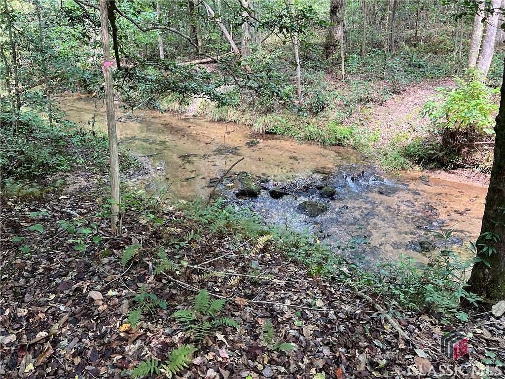 66.24 Acres of Recreational Land for Sale in Hartwell, Georgia