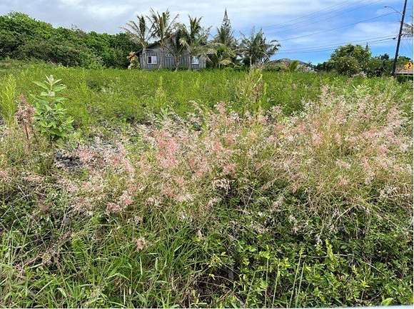 0.321 Acres of Residential Land for Sale in Nāʻālehu, Hawaii