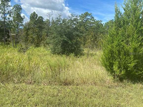 0.46 Acres of Residential Land for Sale in Weeki Wachee, Florida